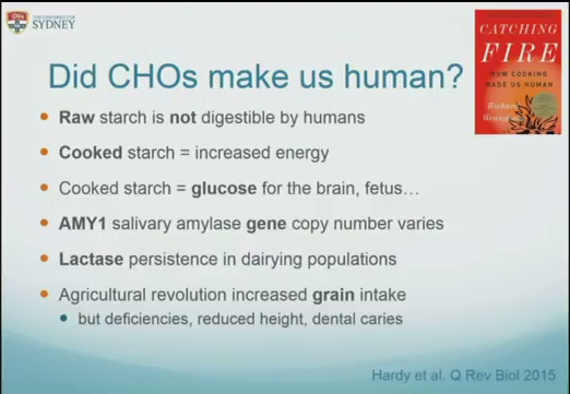 Did CHOs make us human