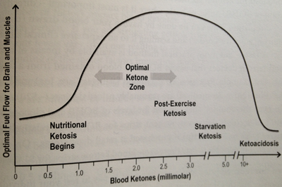 PhinneyVolekNutritionalKetosis