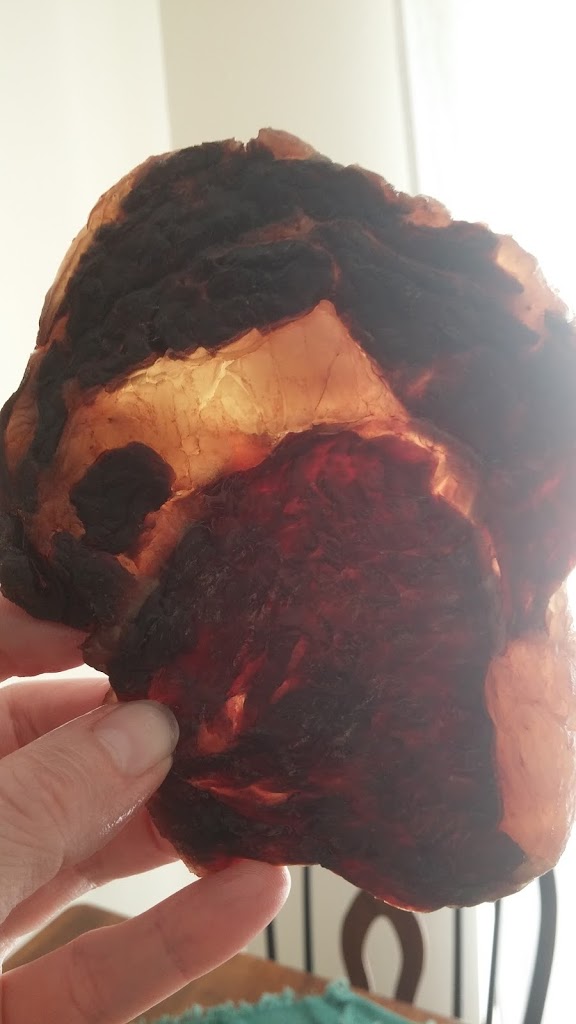 Ribeye Jerky Eat Meat. Not too Little. Mostly Fat.