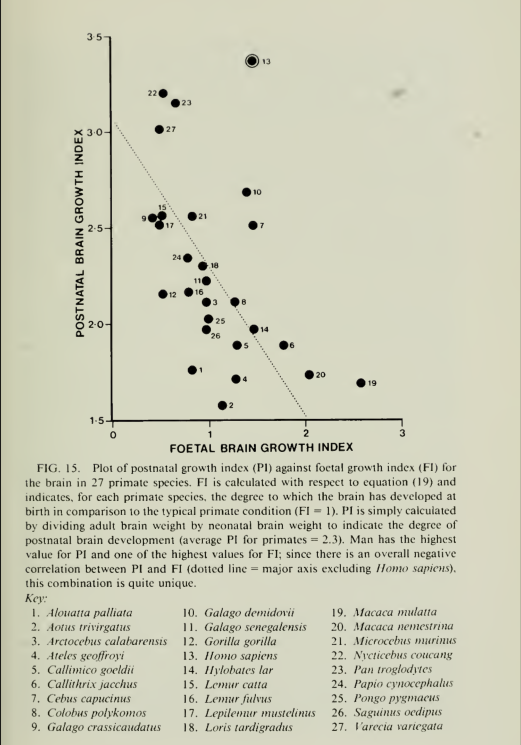 /content/images/wp-content/uploads/2016/09/foetal-brain-growth-index.png