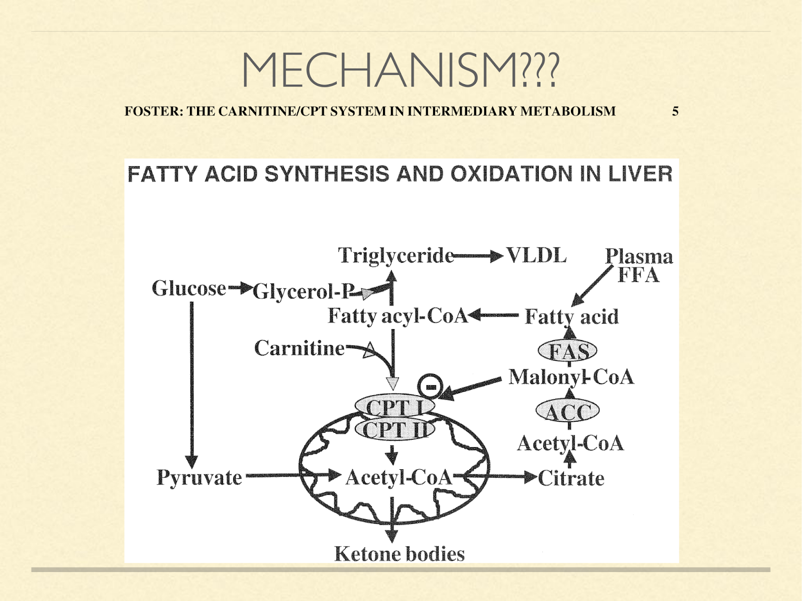 mechanism