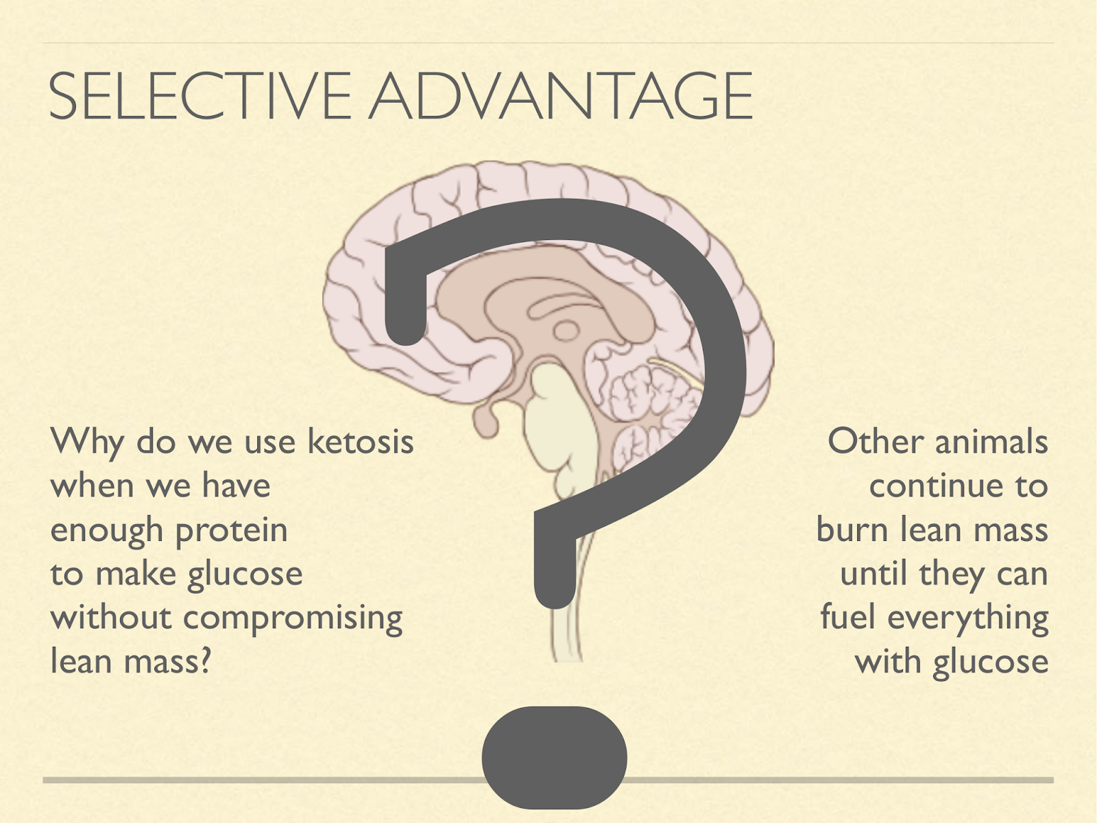 selectvie advantage