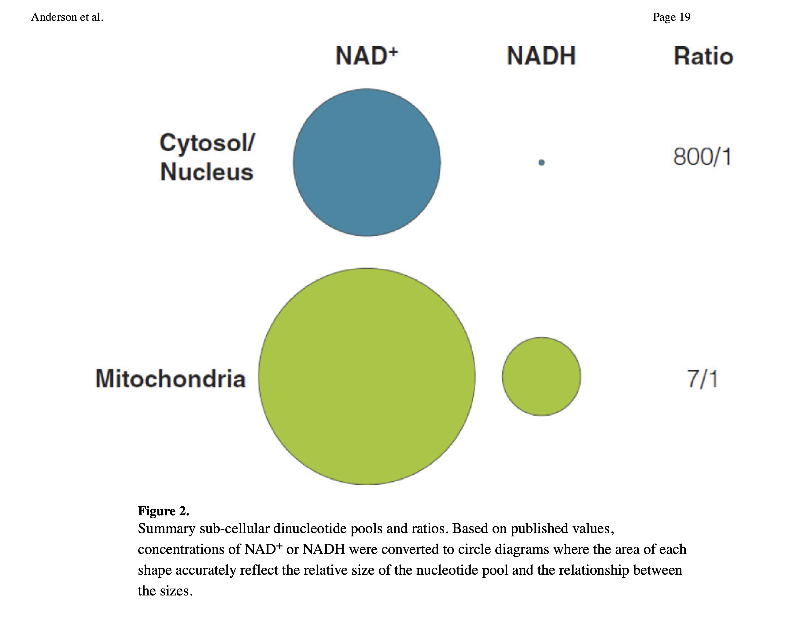 Keto-adapted but no (low) ketones? Part II