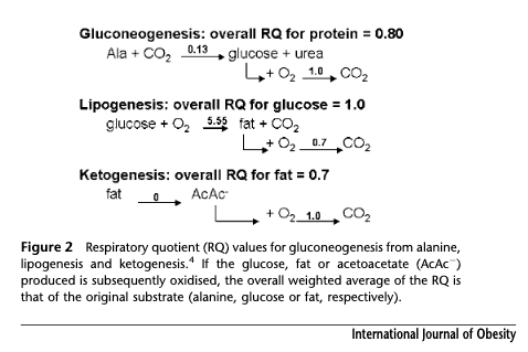 Keto-adapted but no (low) ketones? Part II