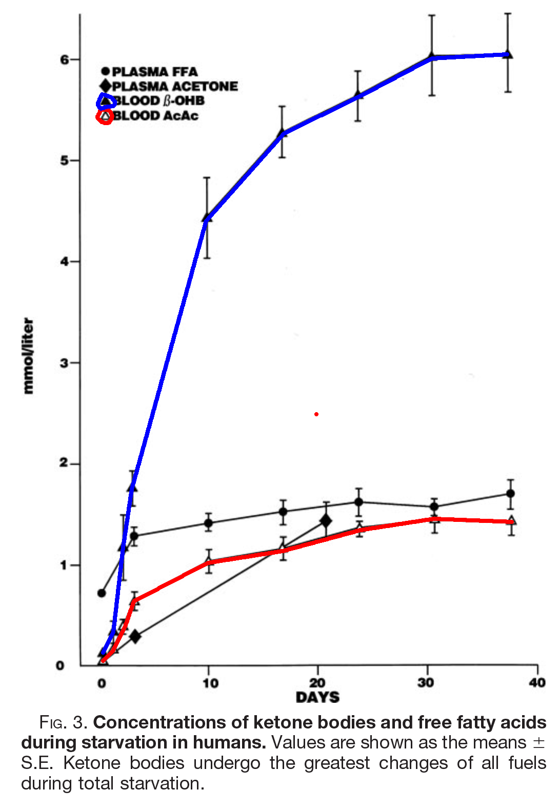 Keto-adapted but no (low) ketones? Part II